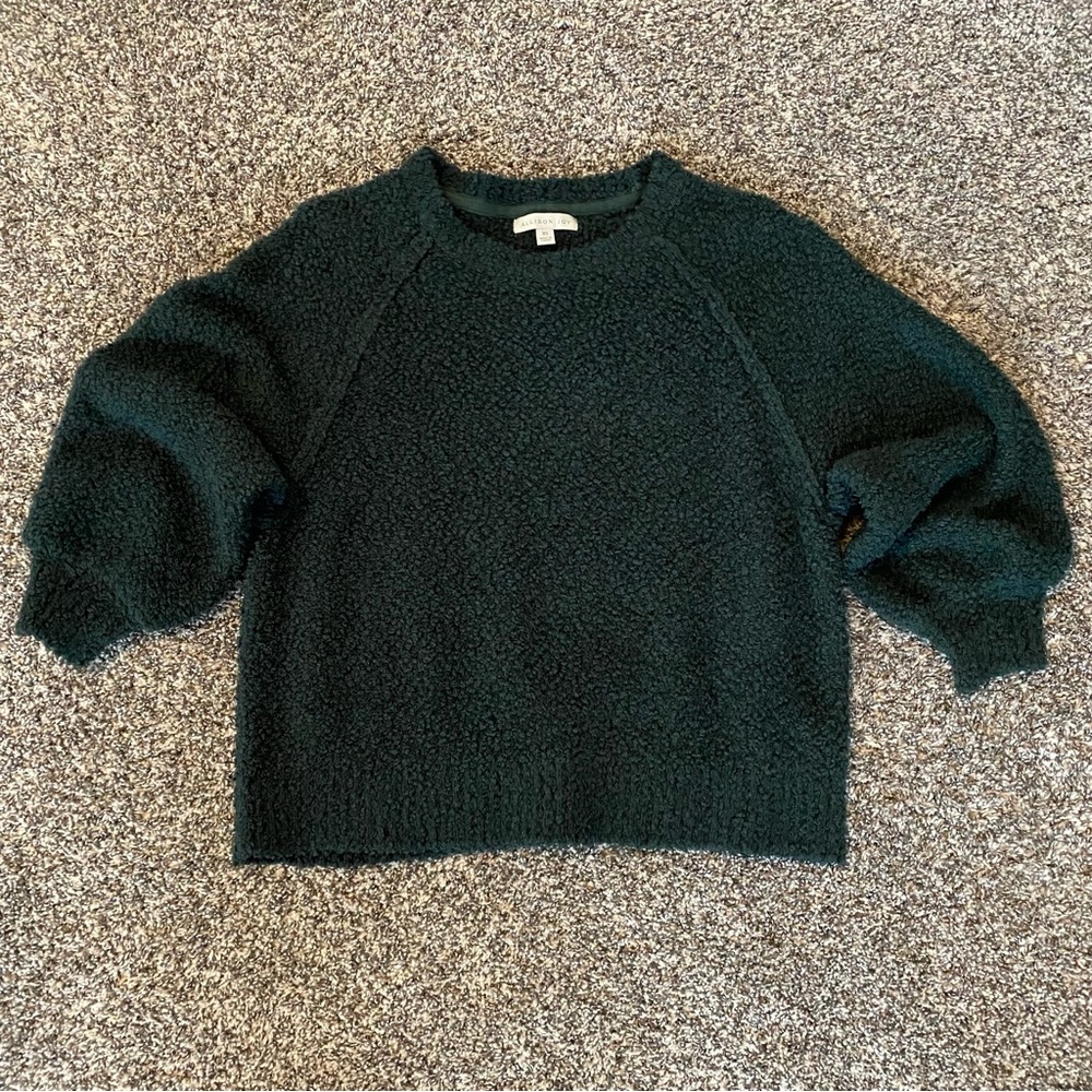 Evereve / Allison Joy Green Teddy Sweater